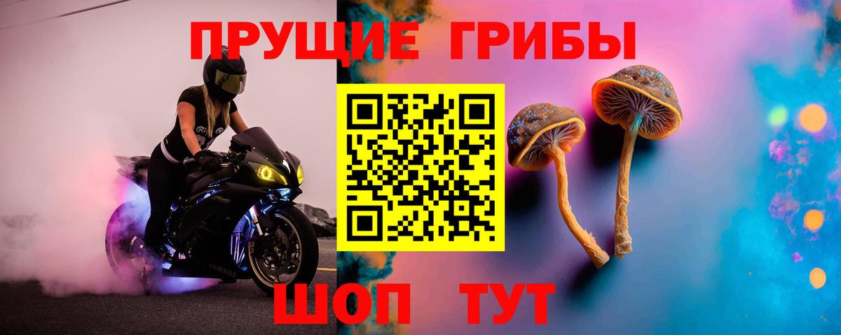 Щёлково  купить закладку  Вход с VPN  Псилоцибиновые грибы мухоморы 